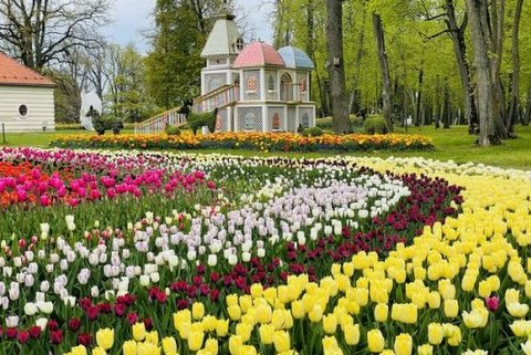 Pārdots! 5.05. | Lietuvas TULPJU DĀRZI ... Pavasara ziedu festivāls PAKROJAS MUIŽĀ!
